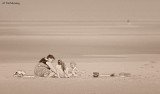 Formby Beach 2